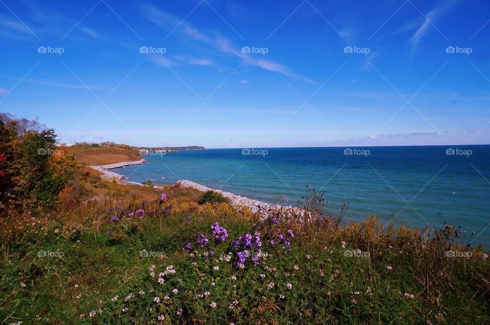 Summer along Lake Michigan...