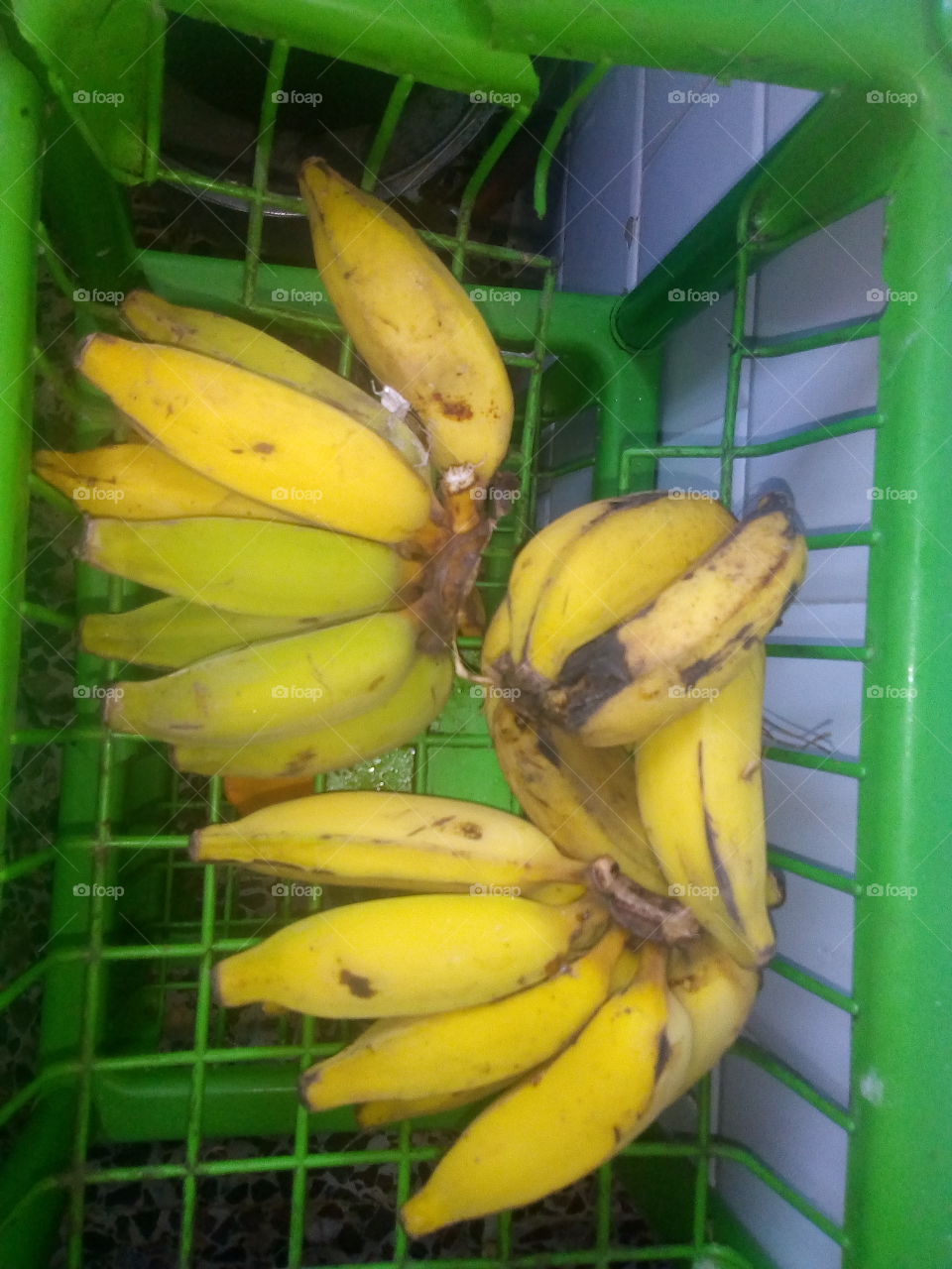 Bananas