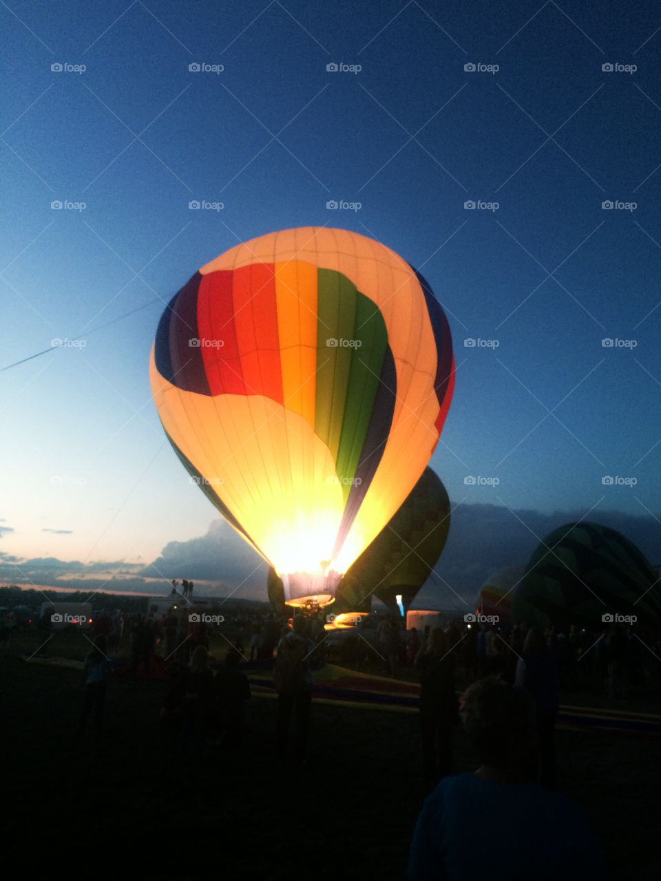 New Mexico Balloon Fiesta Hot Air Balloon 