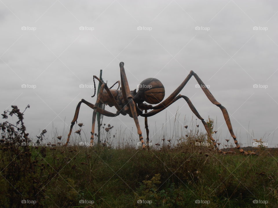 A Large Model Ant