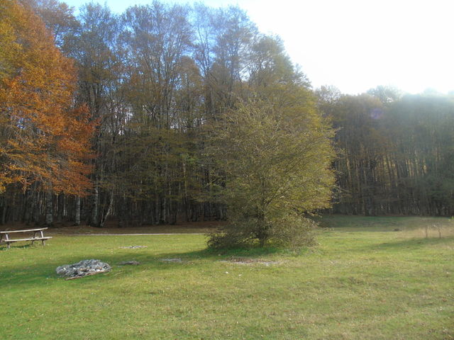 Unesco
