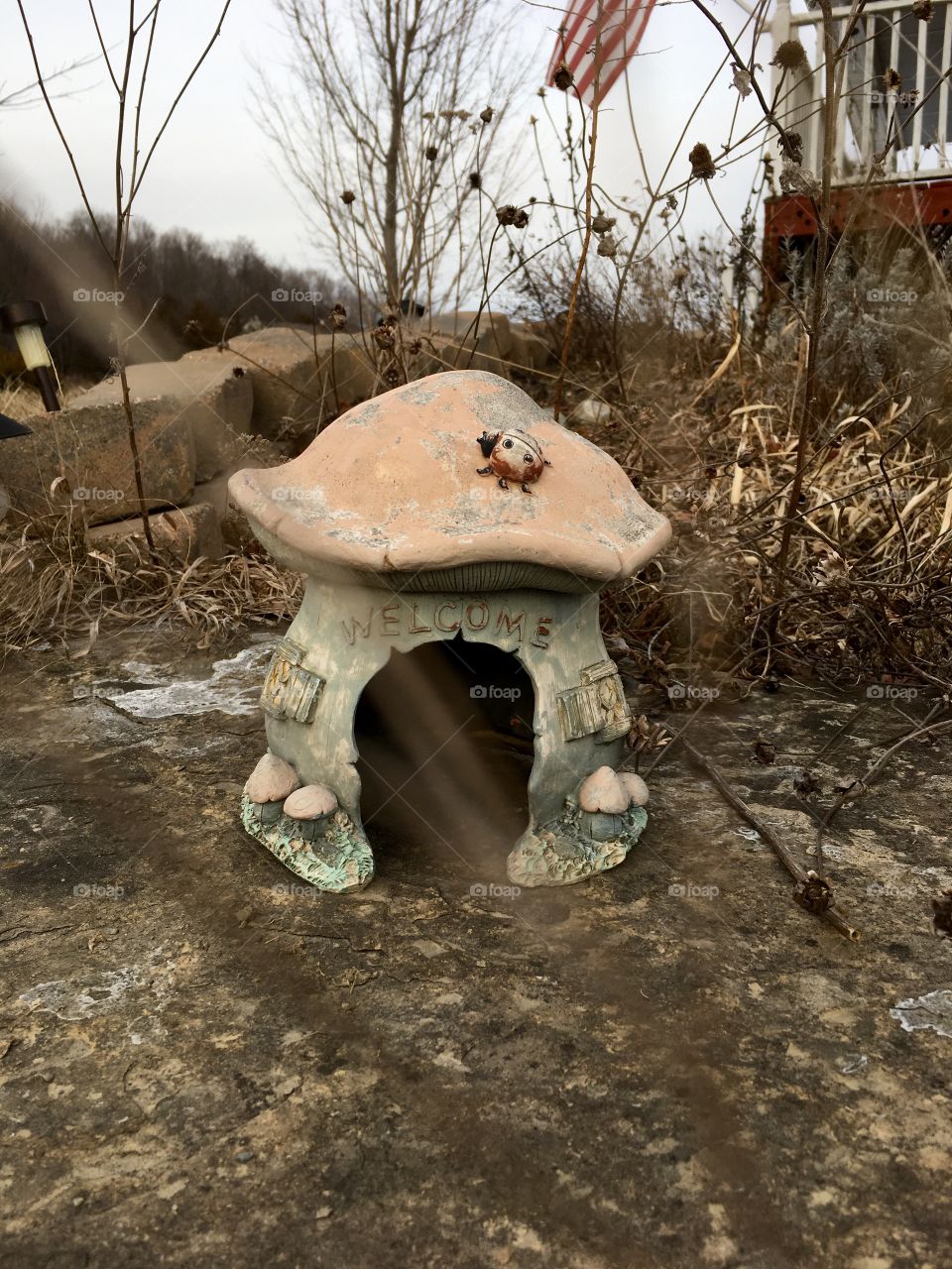 Toad house