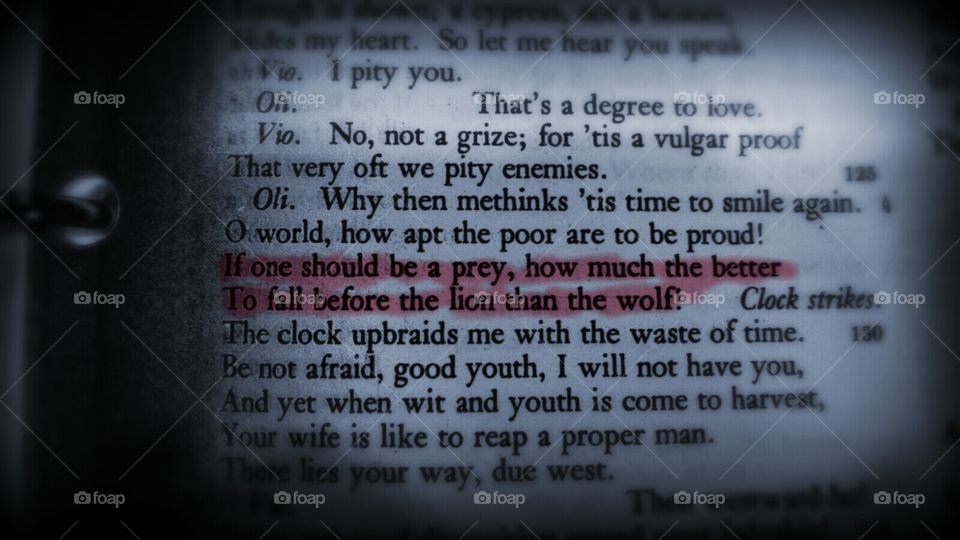 twelfth night. my favorite lines from Shakespeare's twelfth night