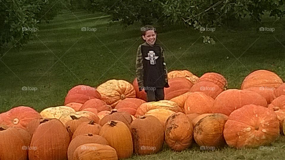Fall, Food, Pasture, Nature, Pumpkin