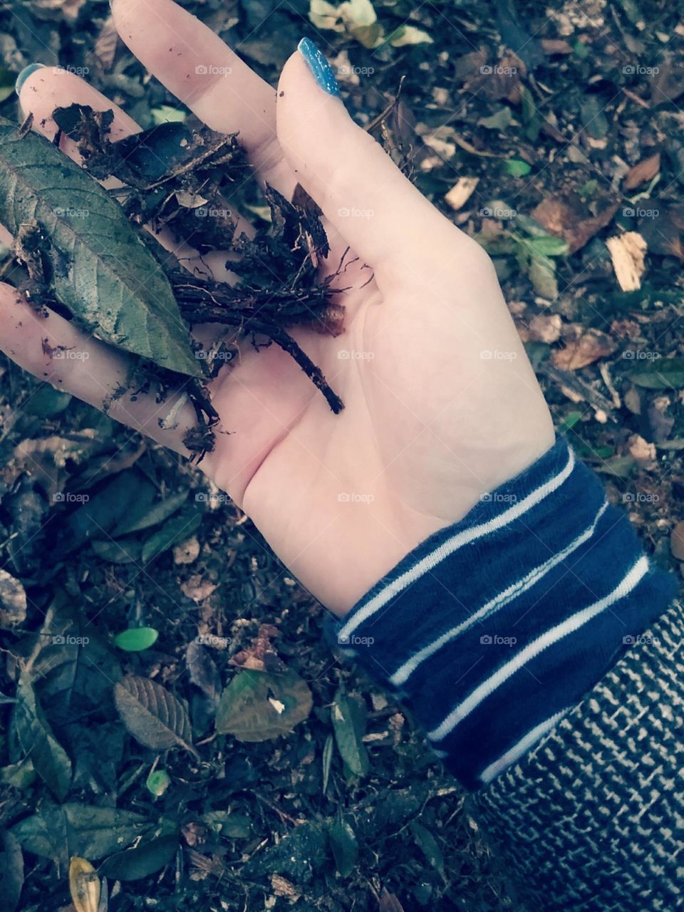 Sentindo a terra abençoada e rica em inspiração.