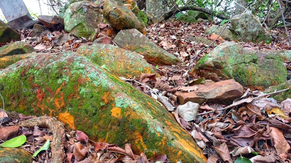 Rochas e vegetais, minérios. Pedras com cores de metais. Matas, rios, ilhas. Fenômenos da natureza. Belezas de nosso planeta.