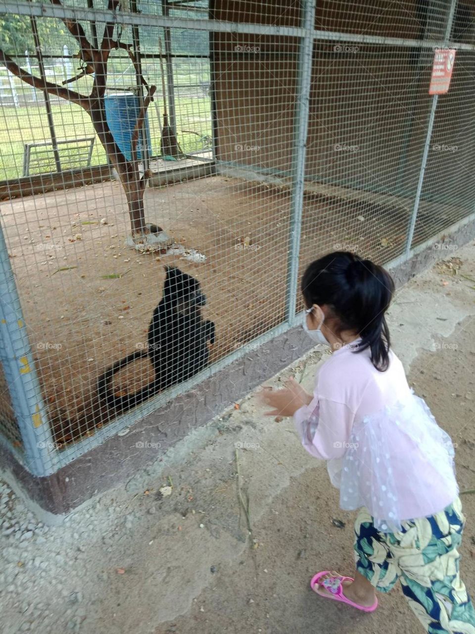 Little guy... like to play with you