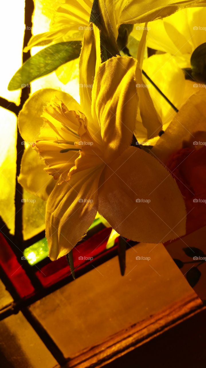 No Person, Leaf, Nature, Flower, Blur