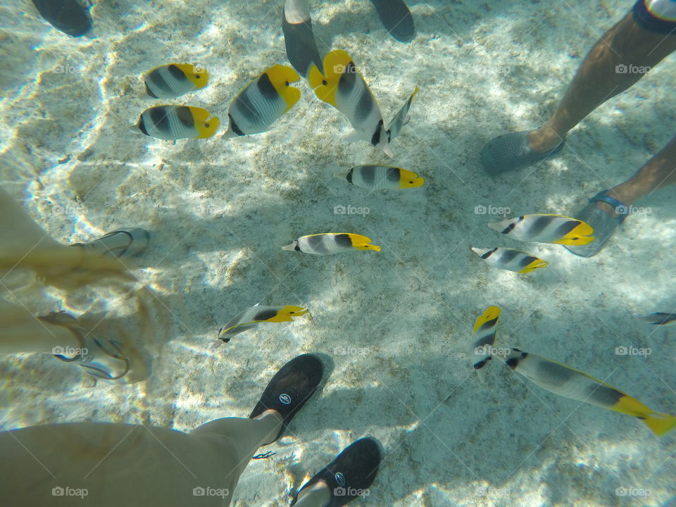 Snorkeling in Taha'a
