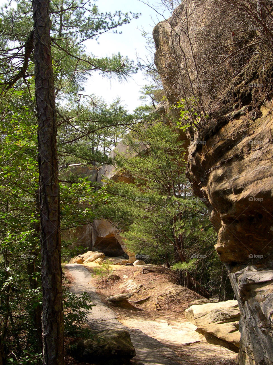 nature pretty bridge hiking by brockwillis