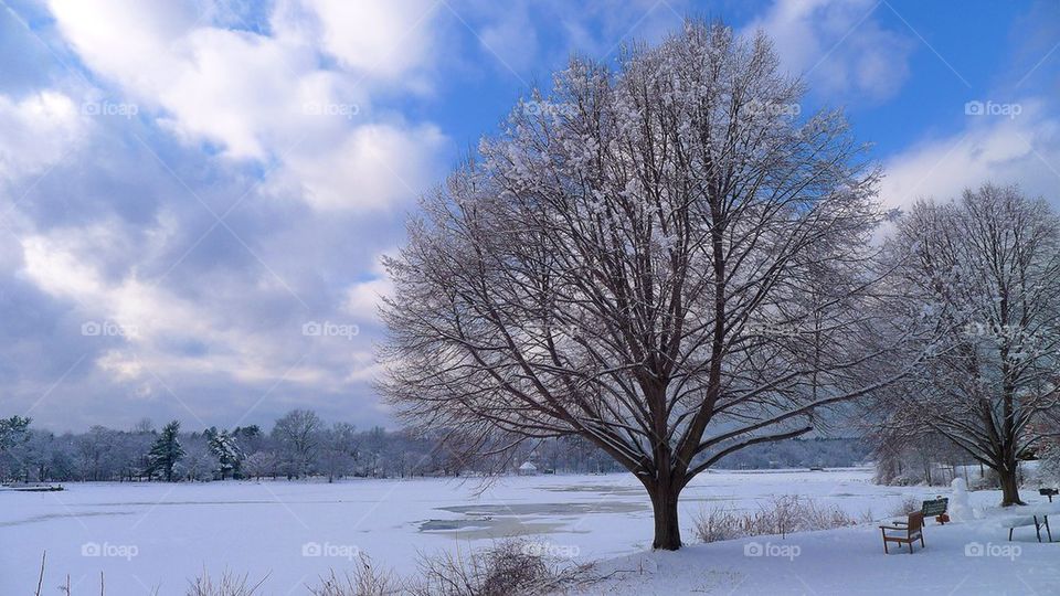 Snow scene in Exeter, NH