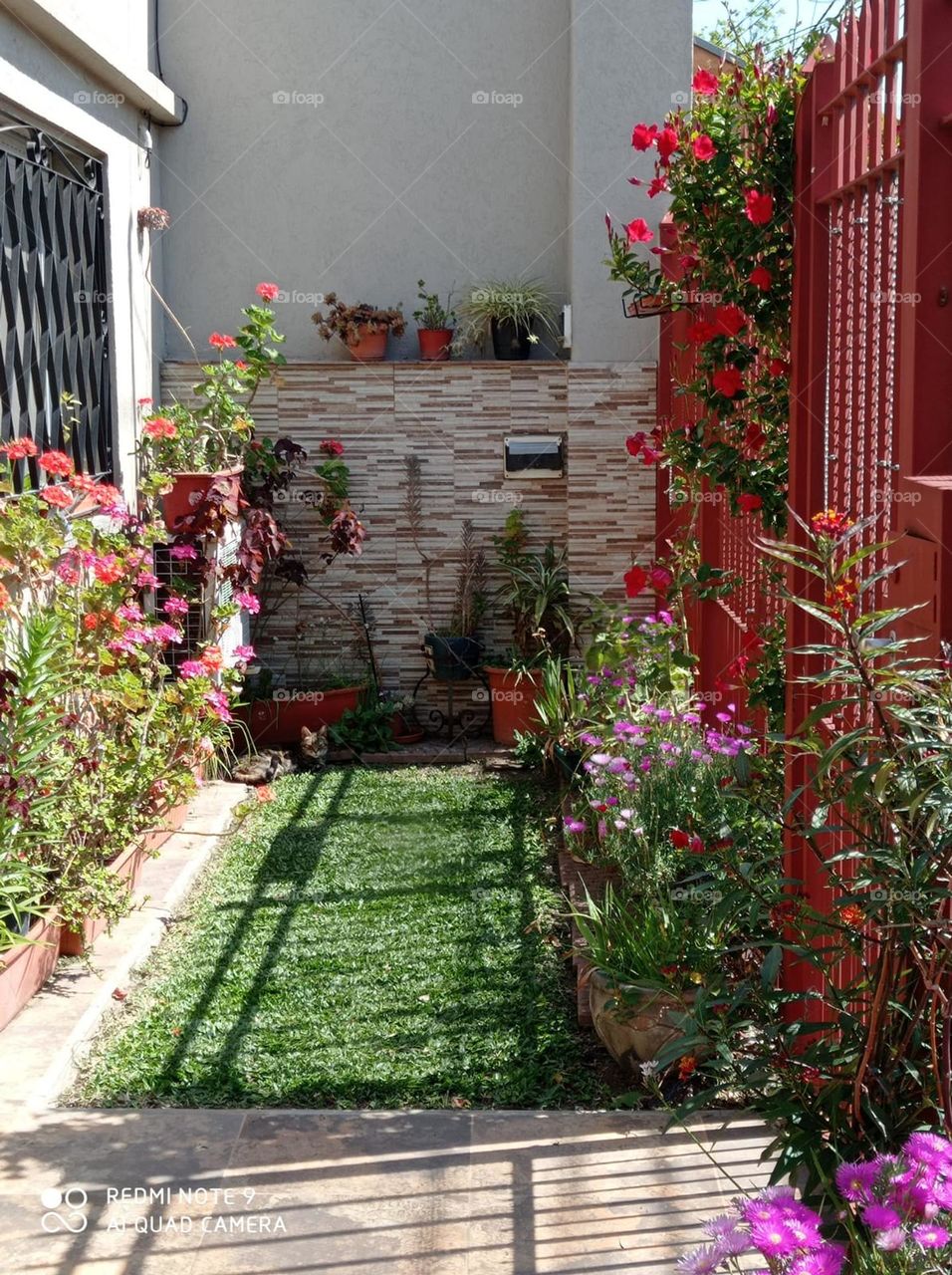 small garden of spring flowers / Jardin chico con flores de primavera