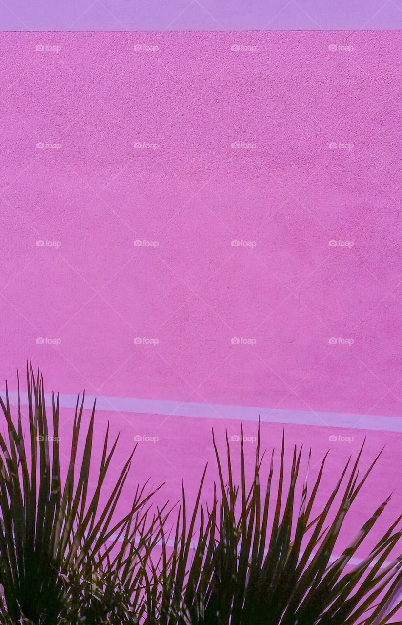 Pink building wall