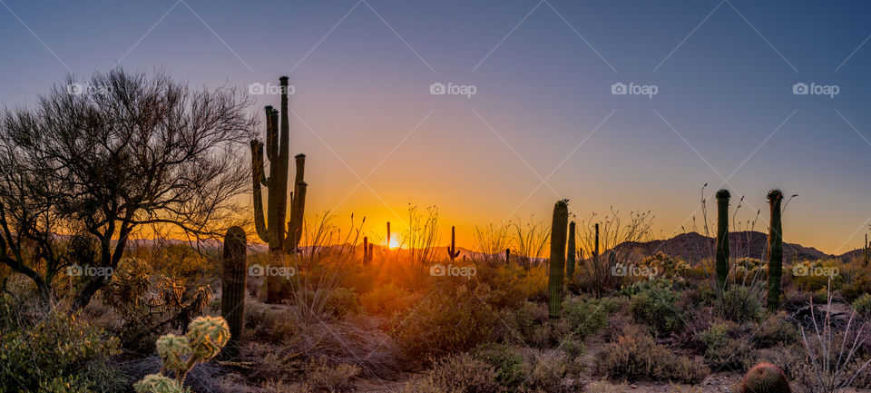 Panoramic shot of desert sunset