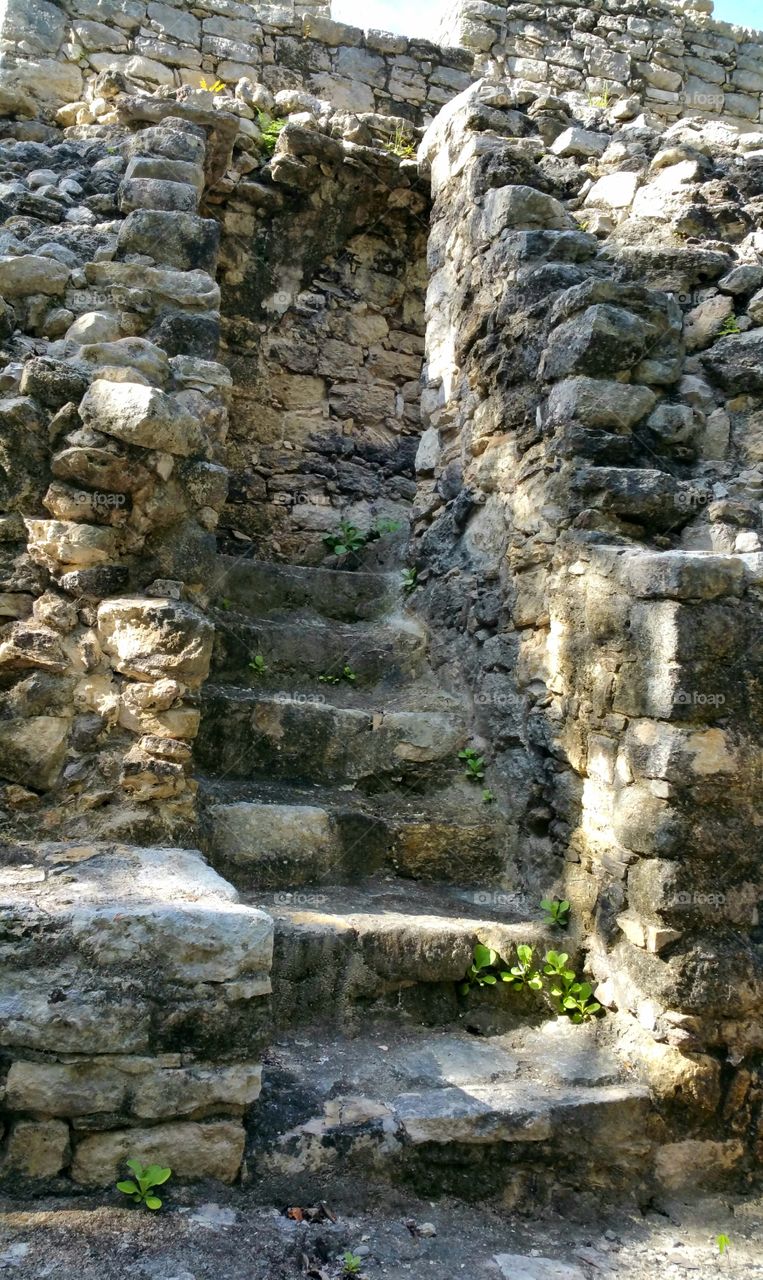 Ancient Steps