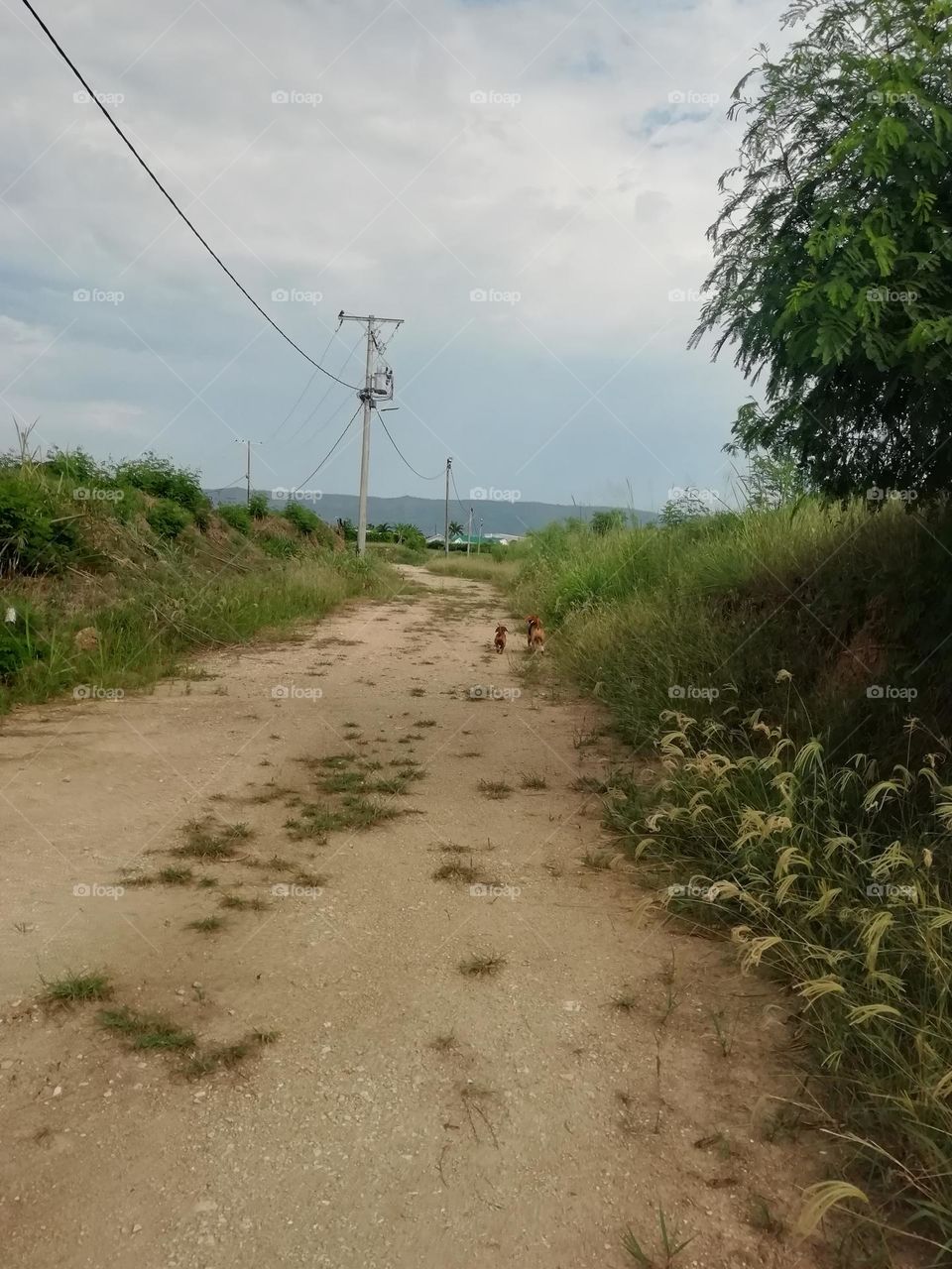 Shared, life is more