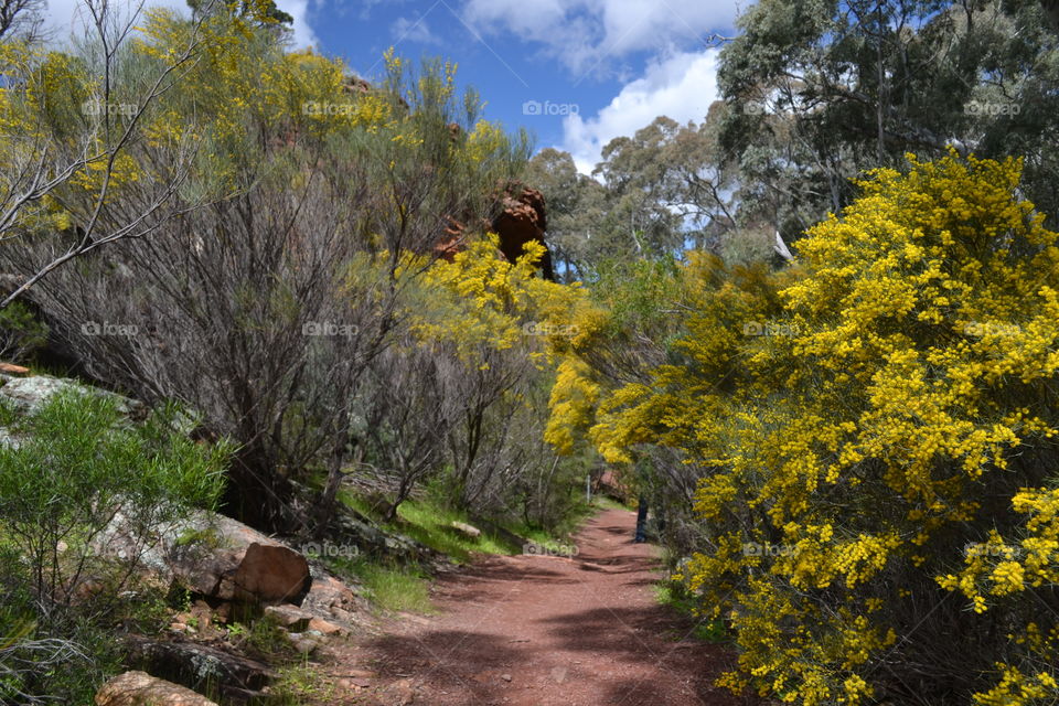 Trail down a mountain in the south Australian outback on the Flinders Ranges