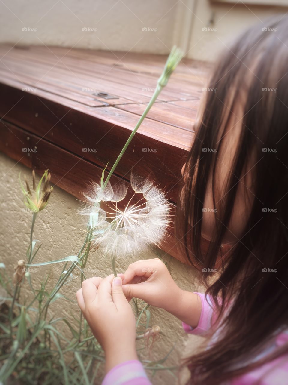 Girl blowing flower seeds like a dandelion 