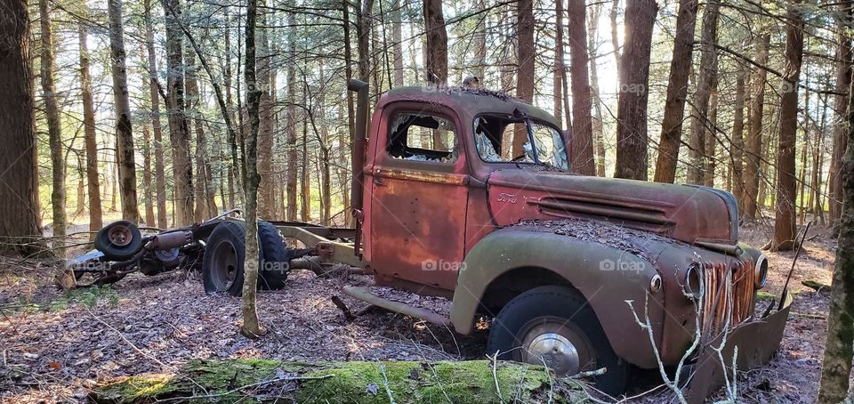 Old Ford deep in the woods.