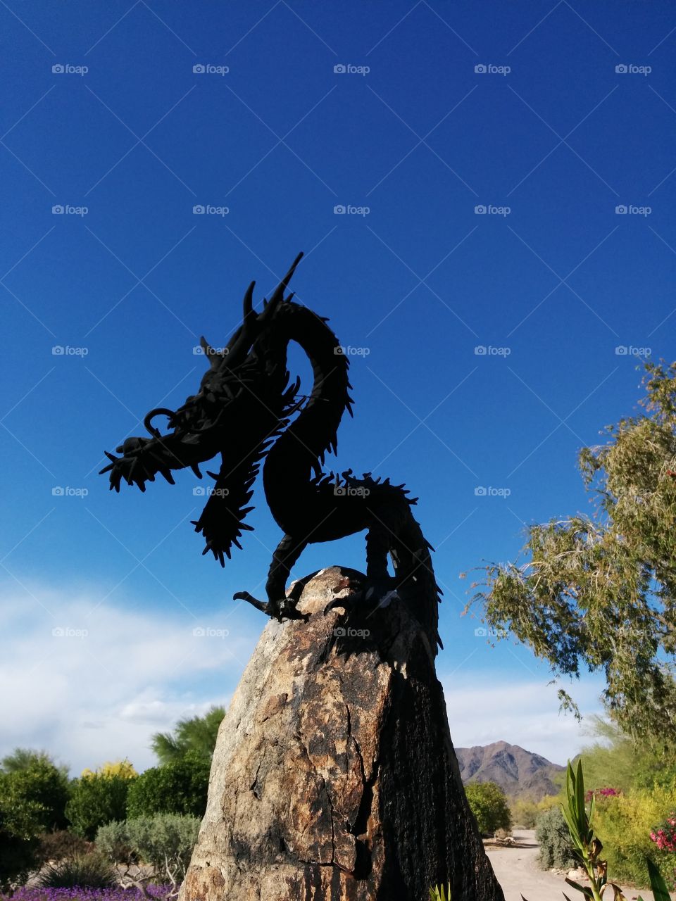 Black Dragon. Taliesin West dragon scultpure