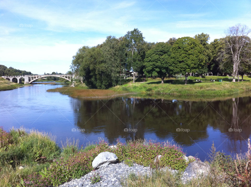 sweden nature water woods by comonline