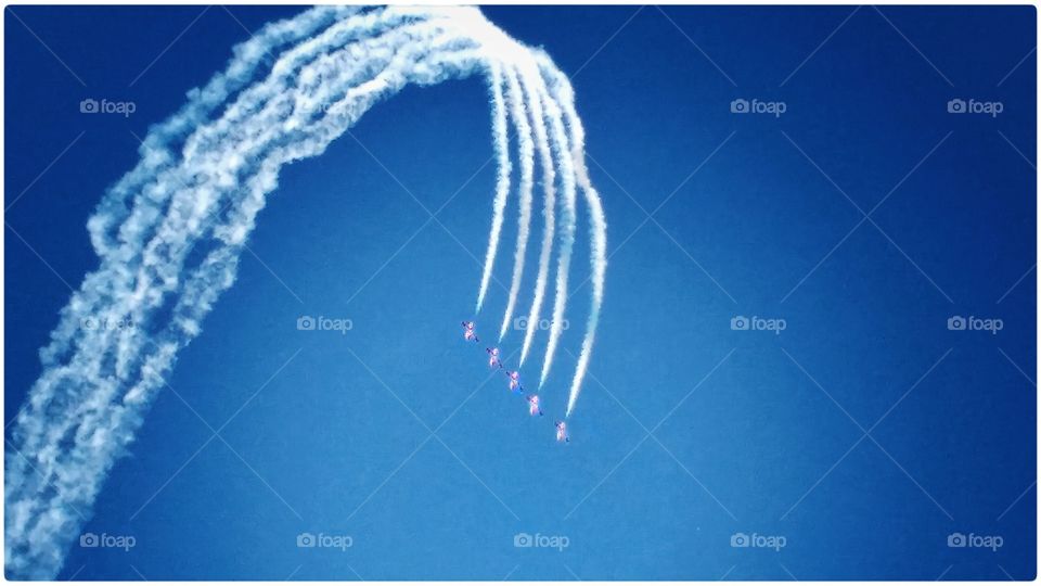 Snowbirds of Canada 02