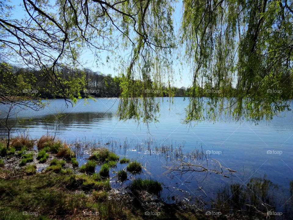 View of idyllic lake