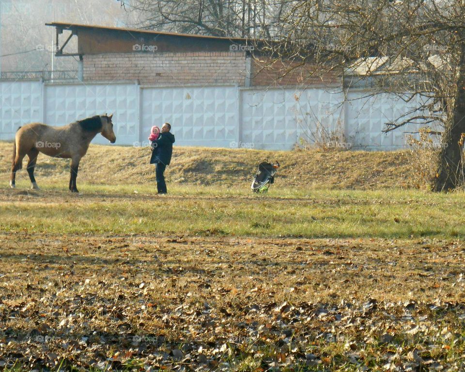 horse and peoples