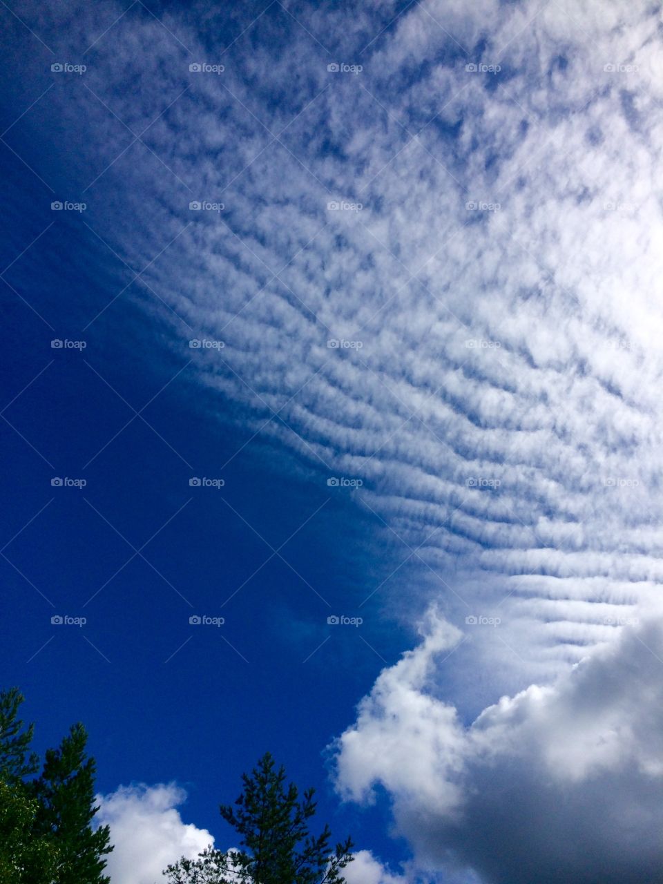 Beautiful sky in August