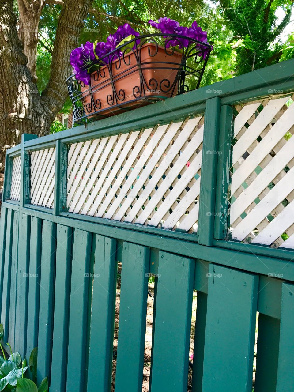 Close-Up Green Fence