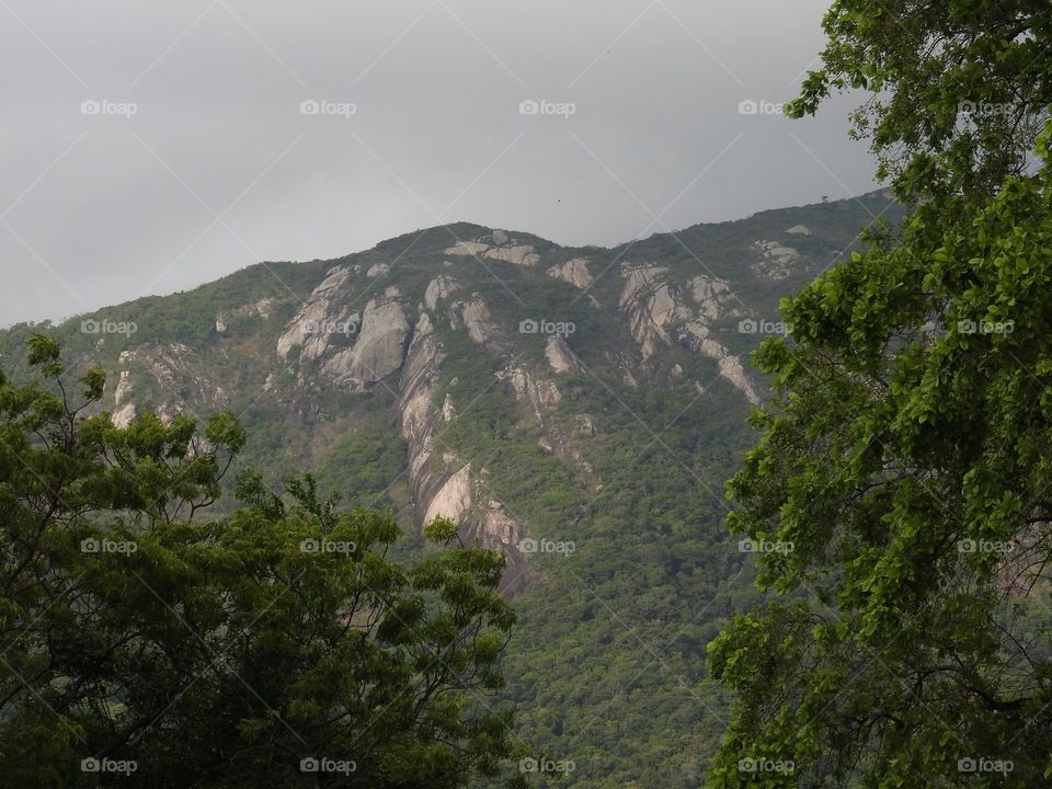 It's a close up viwe of a previous picture 😉