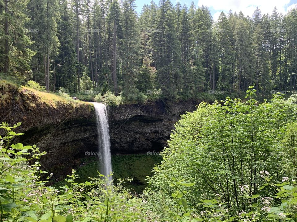 Silver Creek Falls