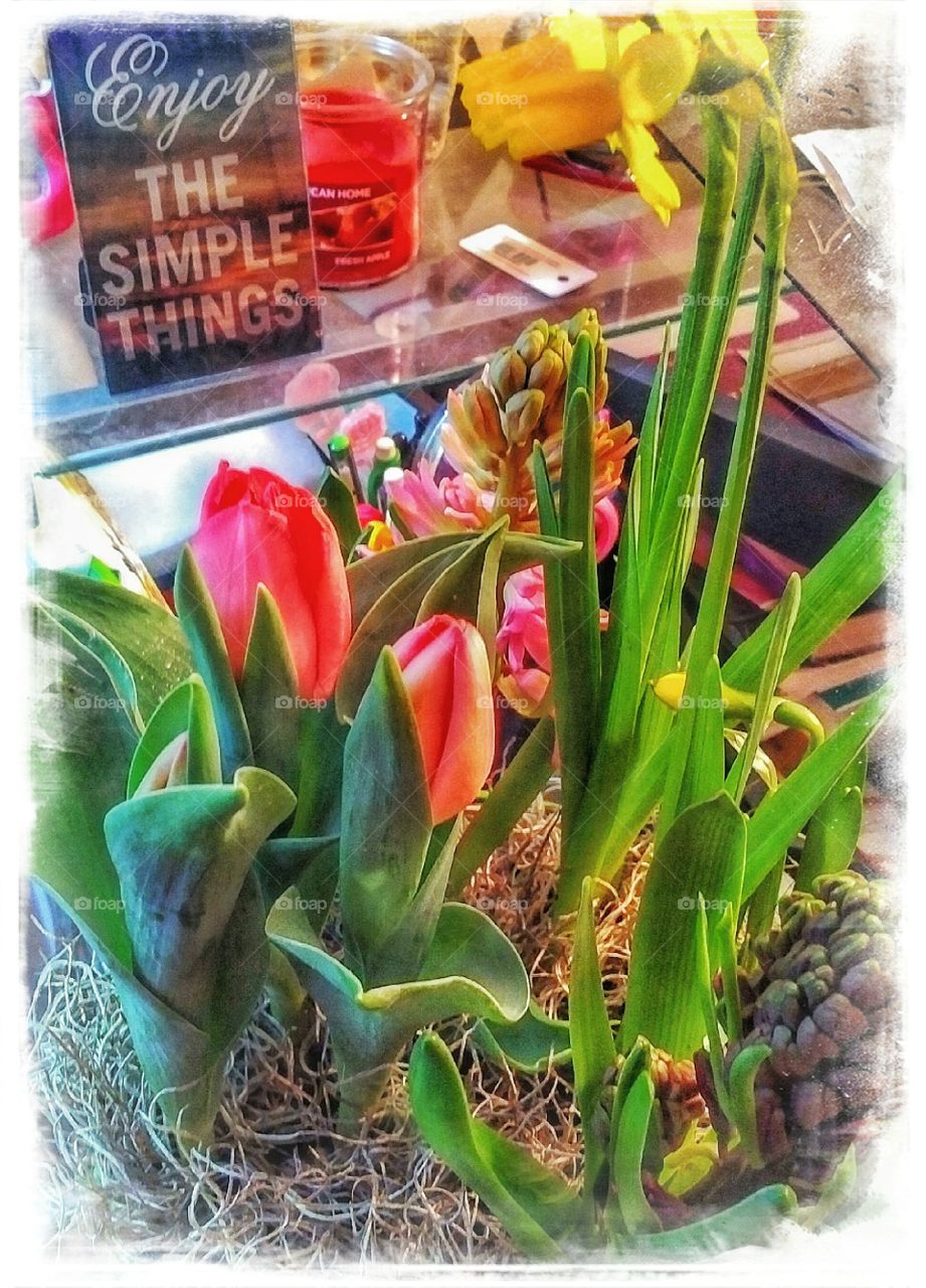 Beautiful spring flower arrangement