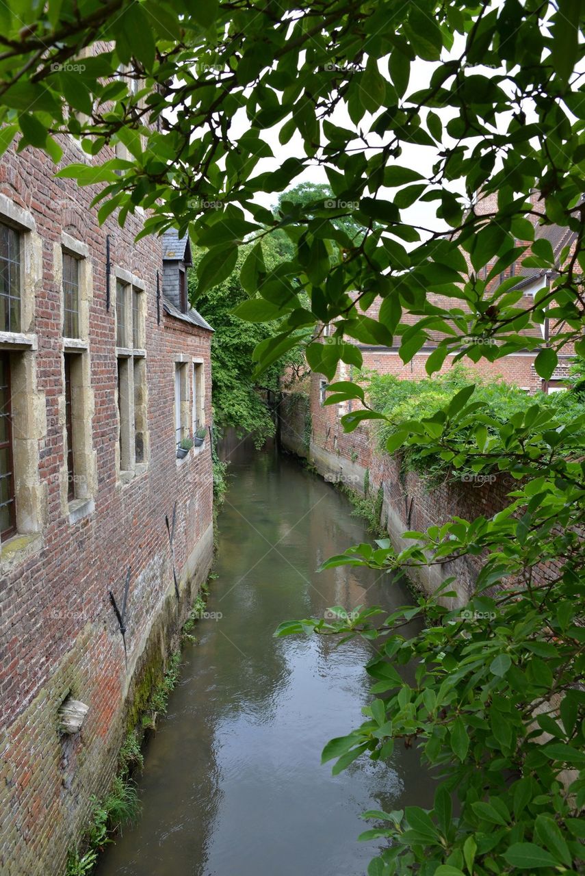 At the beguinage of Leuven