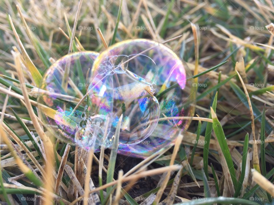 Bubbles on grass