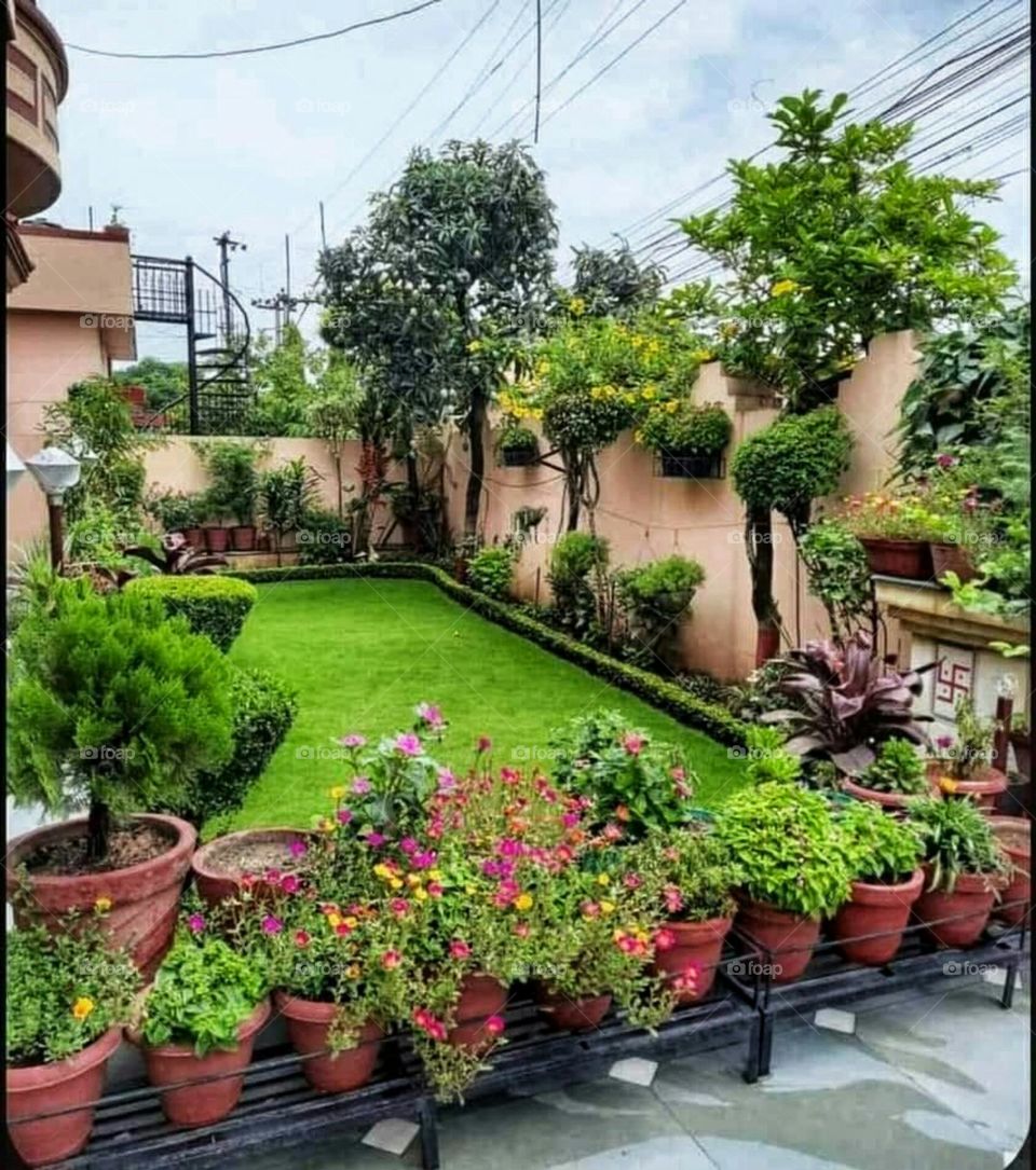 beautiful garden