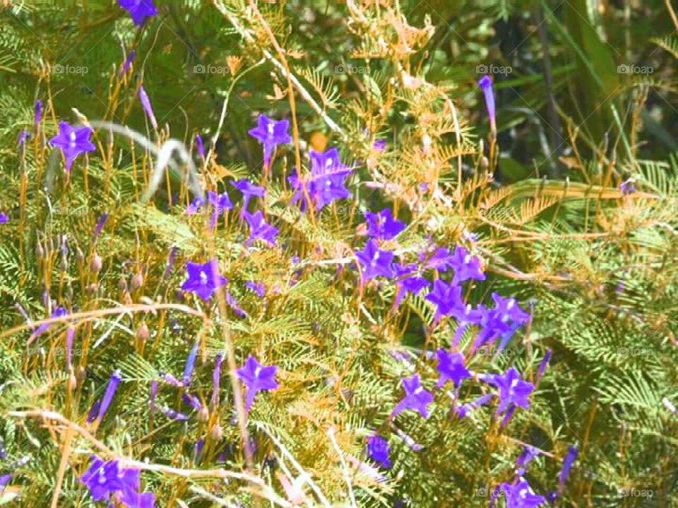 Share your spring wIth NIVEA