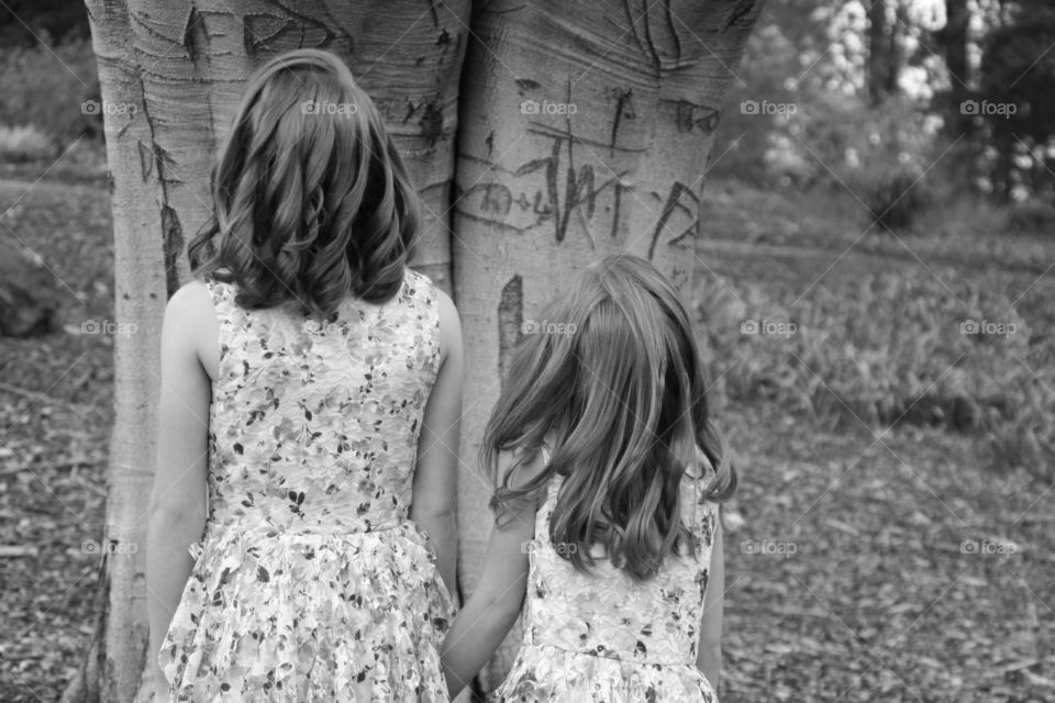 Take the Nostalgic Way Home ( Series )