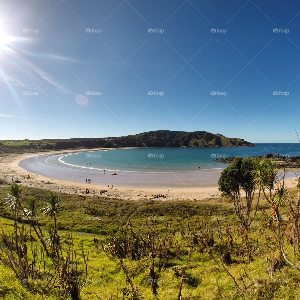 unreal beach in new zealand. i was sitting on the tree with this view at this wonderful unique beach