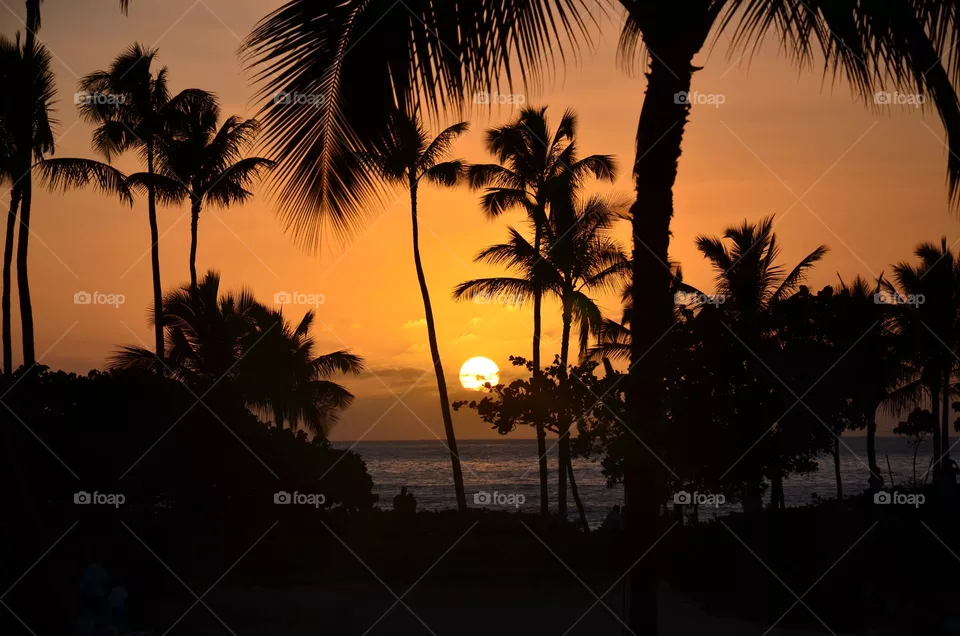 Sunset