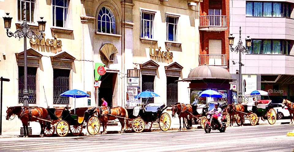 Horse drawn carriages waiting for riders along a street in Malaga, Spain 