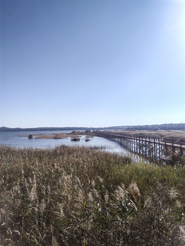 Lake
