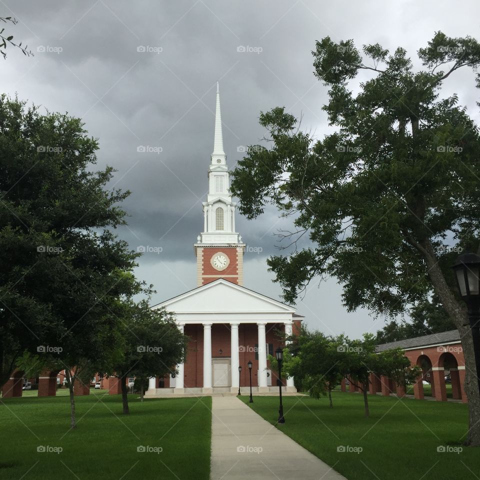 New Orleans Seminary 
