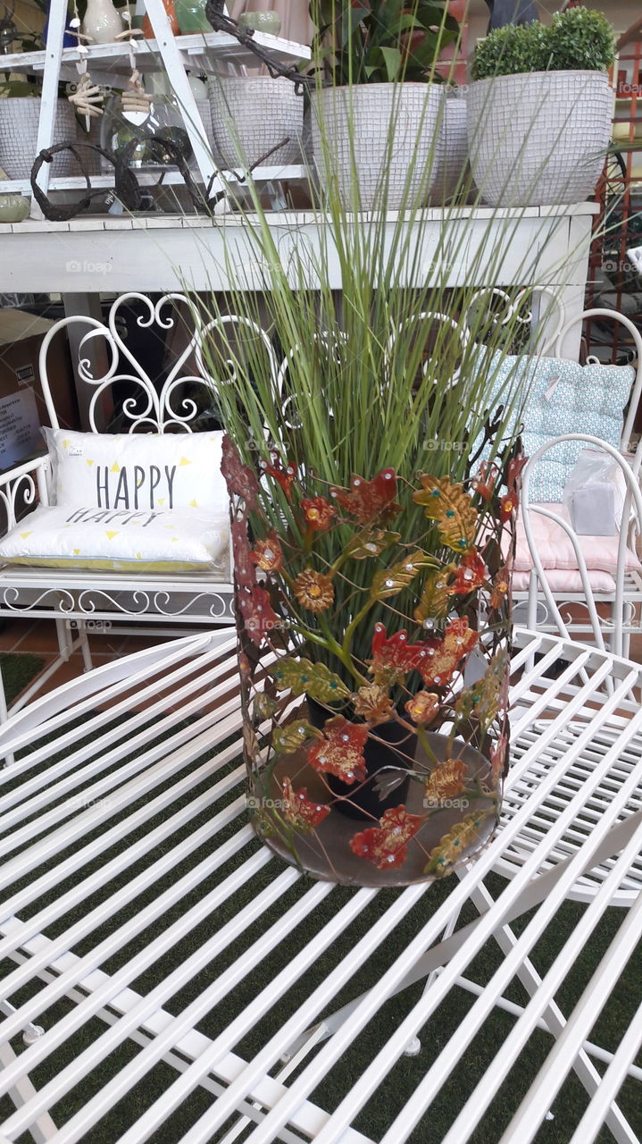 decoracion ..plantas