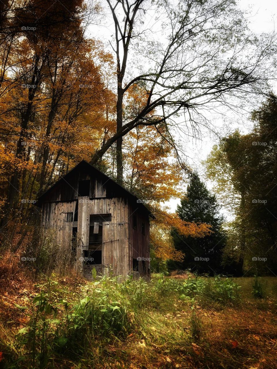 Old Barn in Holmes County Ohio, during the fall. 
