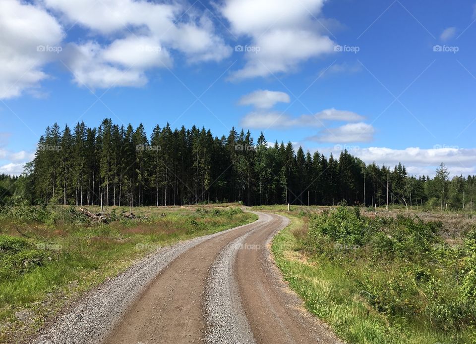 Countryside road.