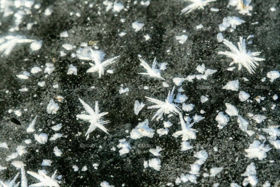 ice crystals on a pond