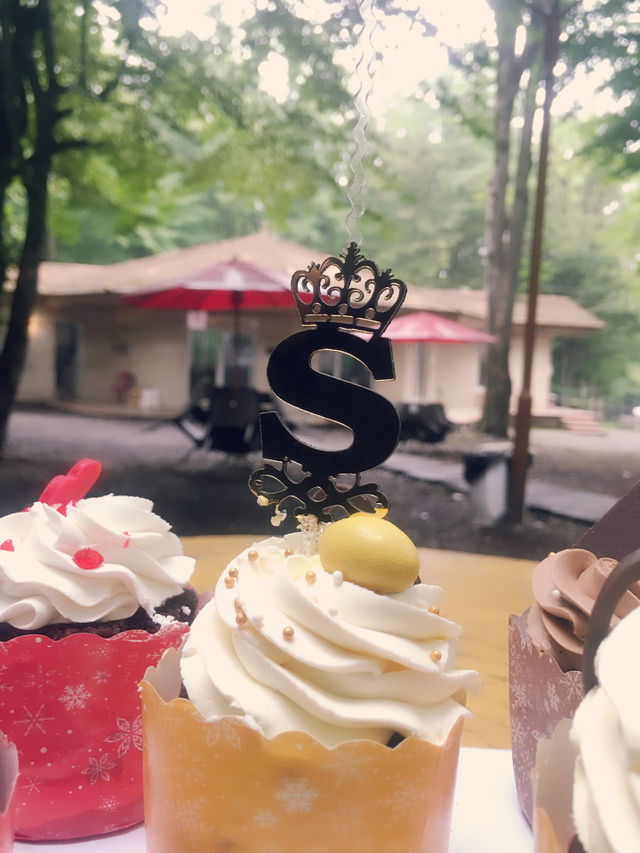 My sister birthday in jungle(because she is a nurse)..