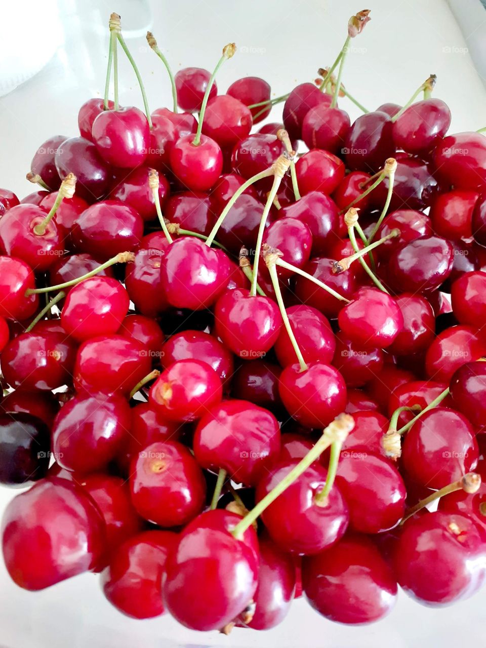 All crazy about cherries.