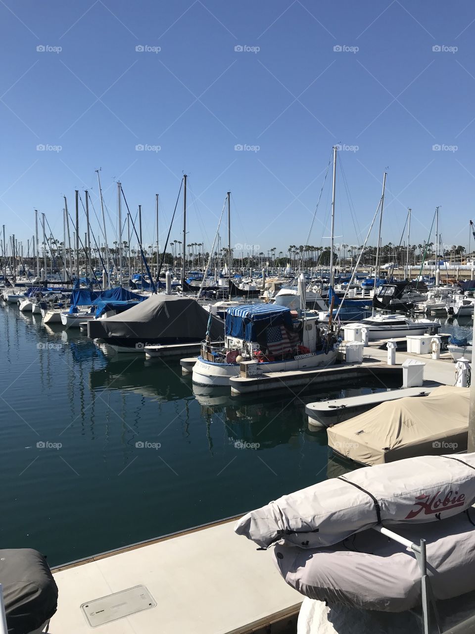 Long Beach Marina